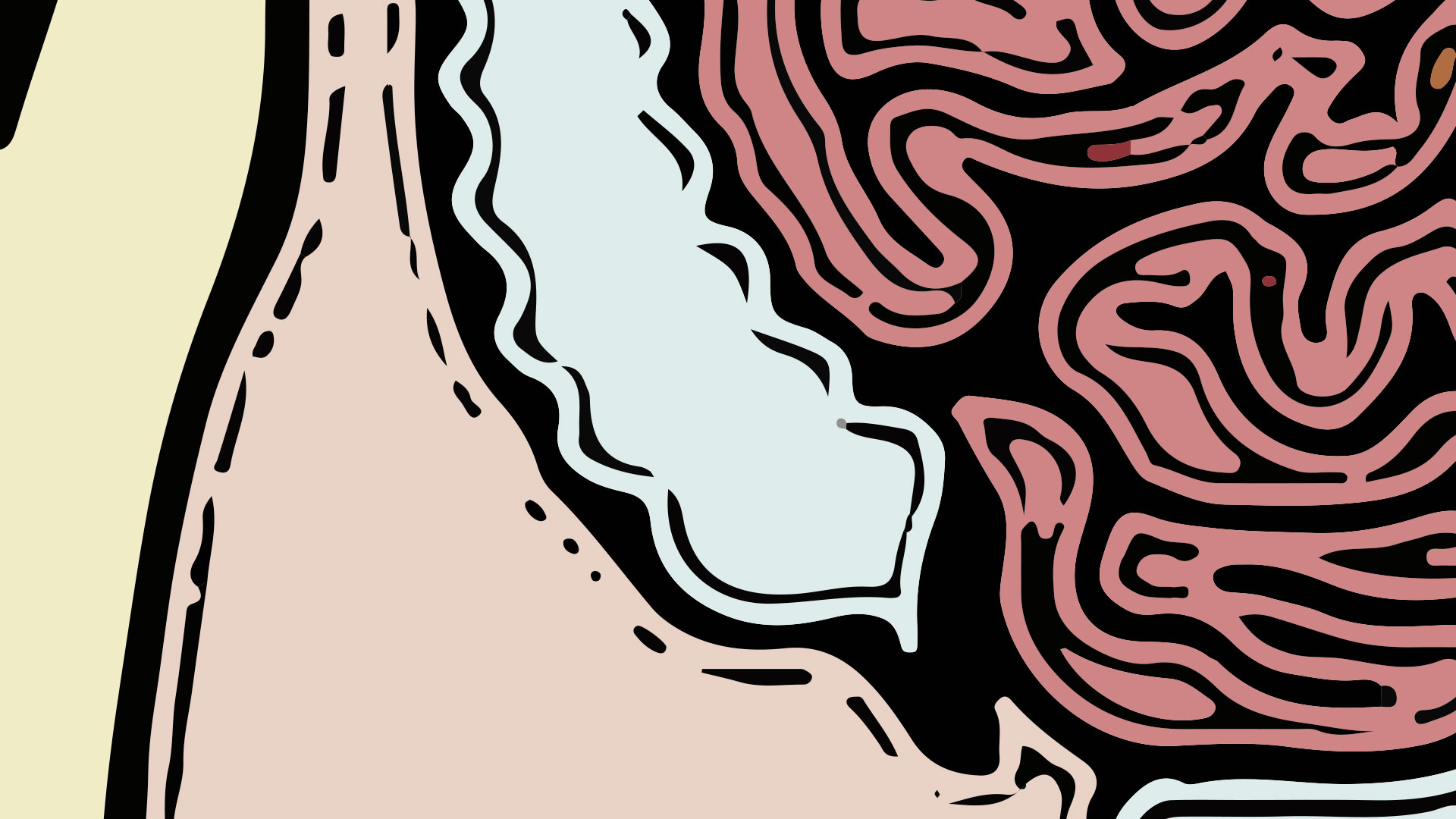 Blinddarm und Wurmfortsatz